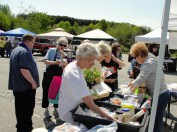 Seed Swap 2016 - Stokes News image