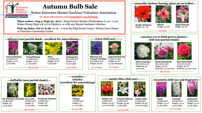 SEMGVA_BulbSale_Flyer_2017