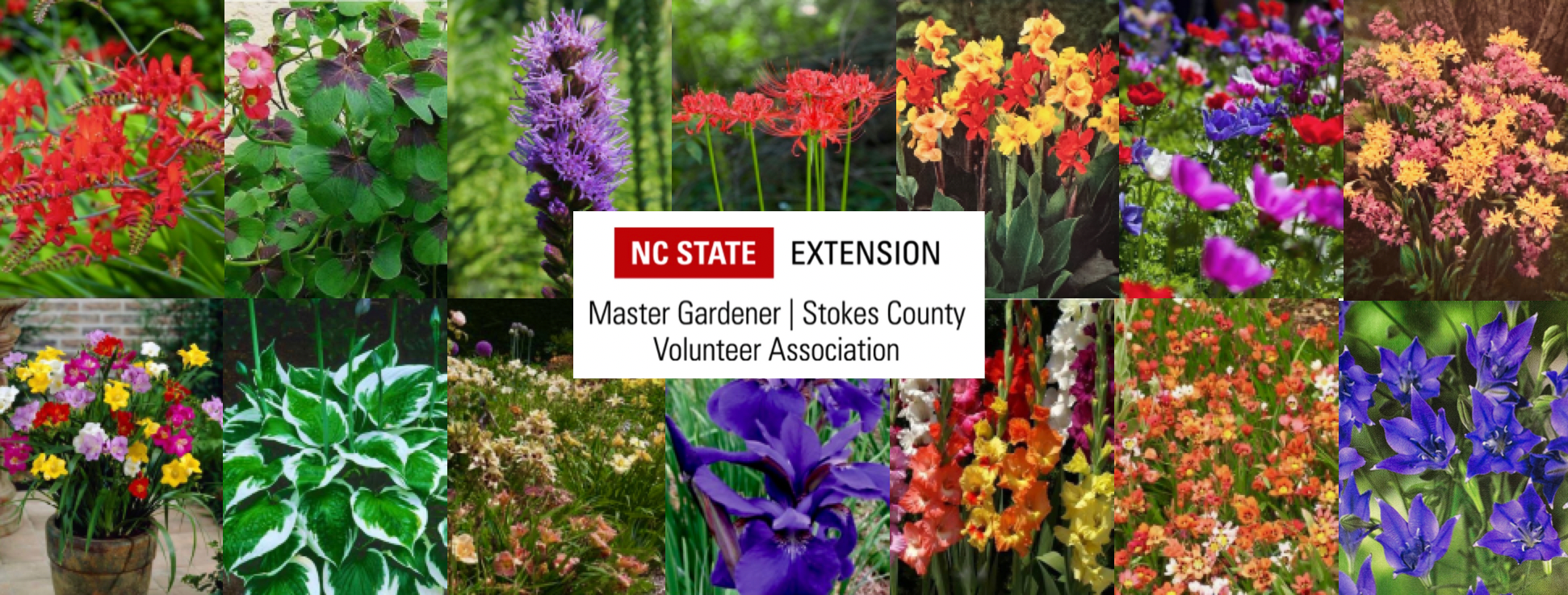 SEMGVA_MarketingImage_2023-02-23